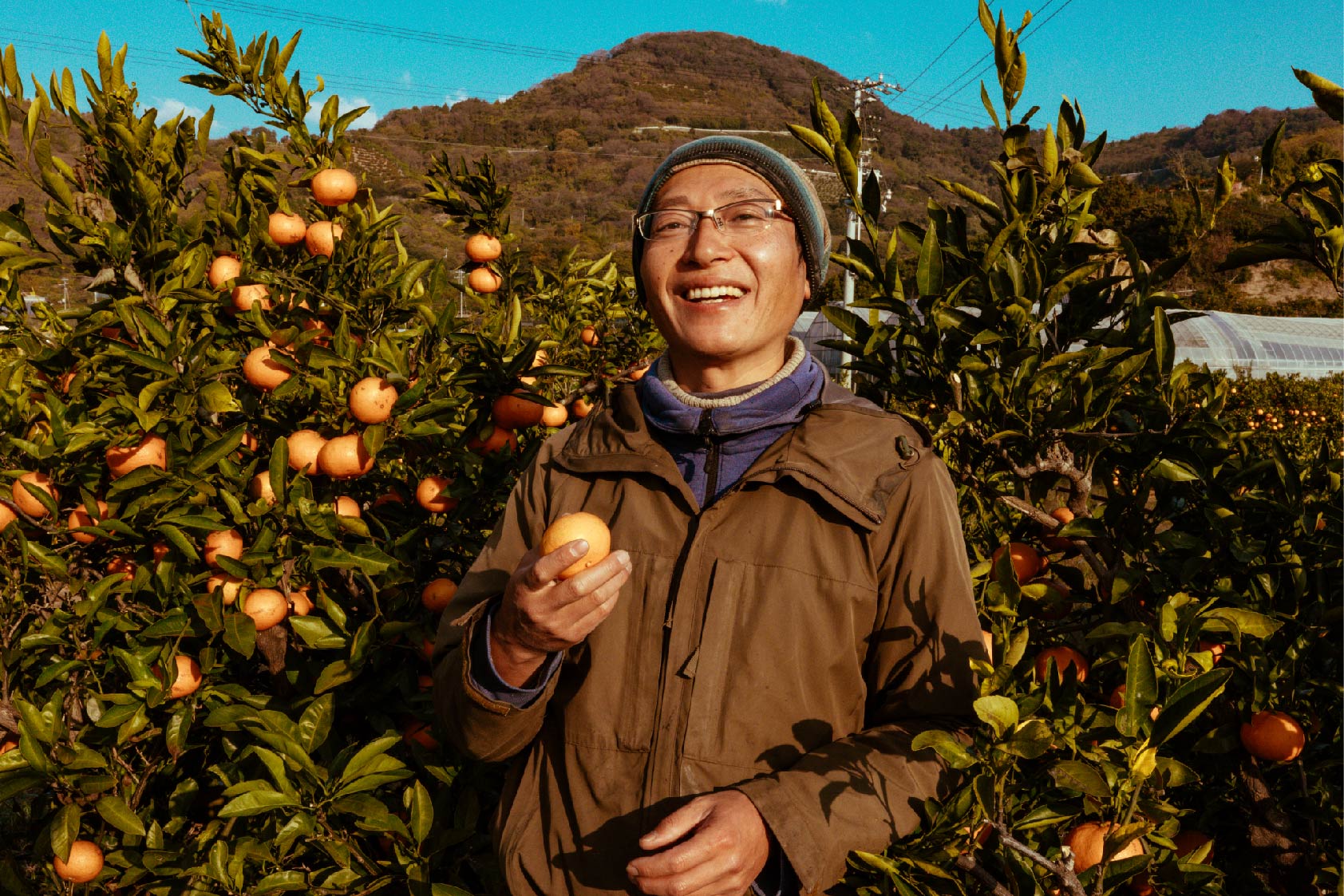 自然界の一部になった感覚がある」 島の未来を担う柑橘農家 – Why