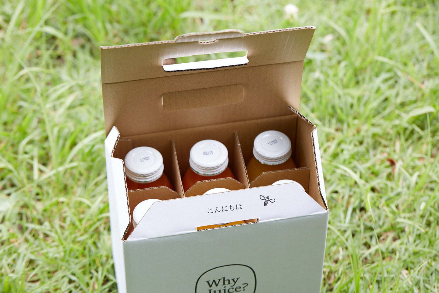 【数量限定】Long-life Juice 6本ギフトボックス(果物たっぷりセット/にんじん、みかん、ぶどう)