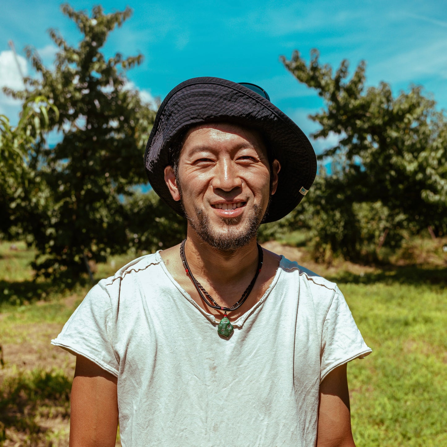 【産地直送・送料込み!!】山梨県笛吹市の「宝桃園」さんから朝採れた旬の桃をその日のうちに発送!桃2kgBOX