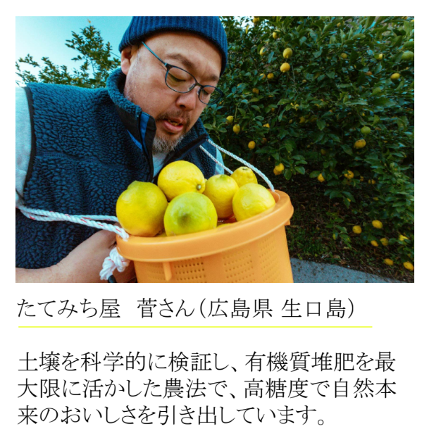 【夏季限定】Fruits SODA 6本ギフトボックス(高知ジンジャー広島レモン、信州りんご、清見オレンジ)