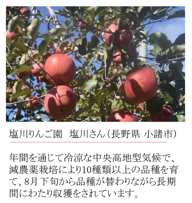 【夏季限定】Fruits SODA 6本ギフトボックス(高知ジンジャー広島レモン、信州りんご、清見オレンジ)