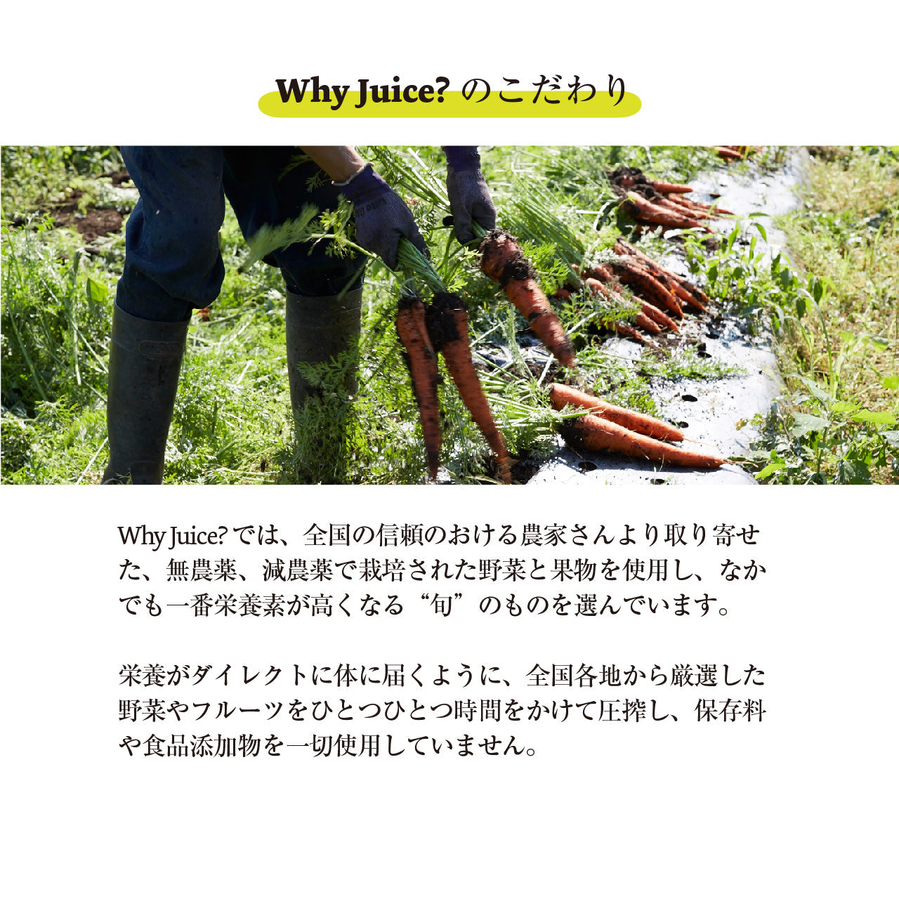 夏季限定!神奈川県三浦産スイカを使ったFrozen Cold Pressed Juice 【Mid Summer】と石垣島パイナップルを使った【Pine Aid】6本セット