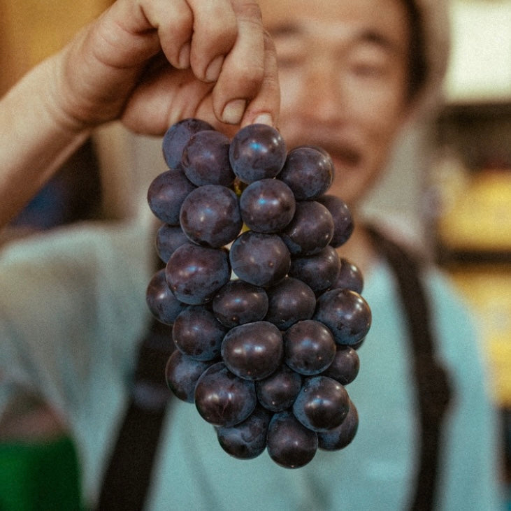 【送料込み】産地直送!山梨県甲州市「あめとひかり」さんの旬の巨峰とシャインマスカット 2kg(4房)セット
