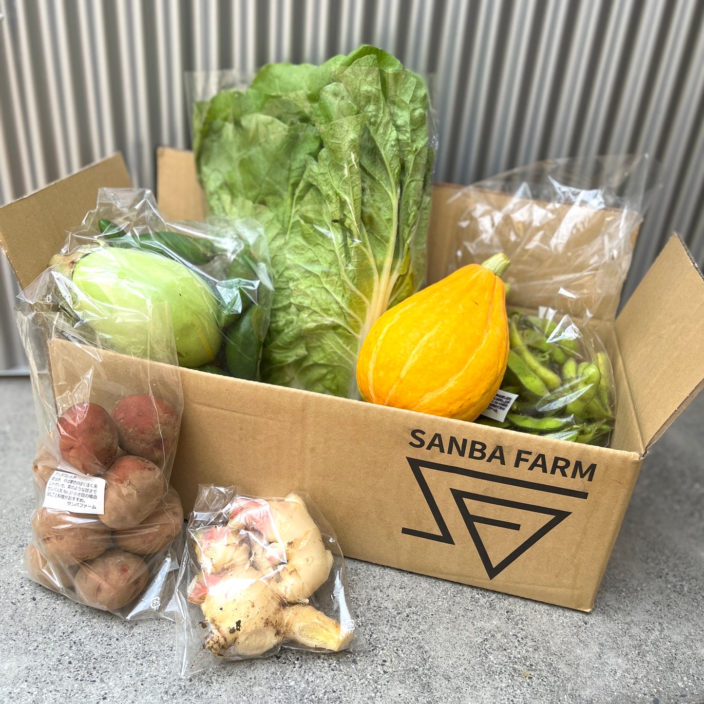 10/7お届け!【産地直送・送料込み】新生姜入りお野菜BOXと調味料セット