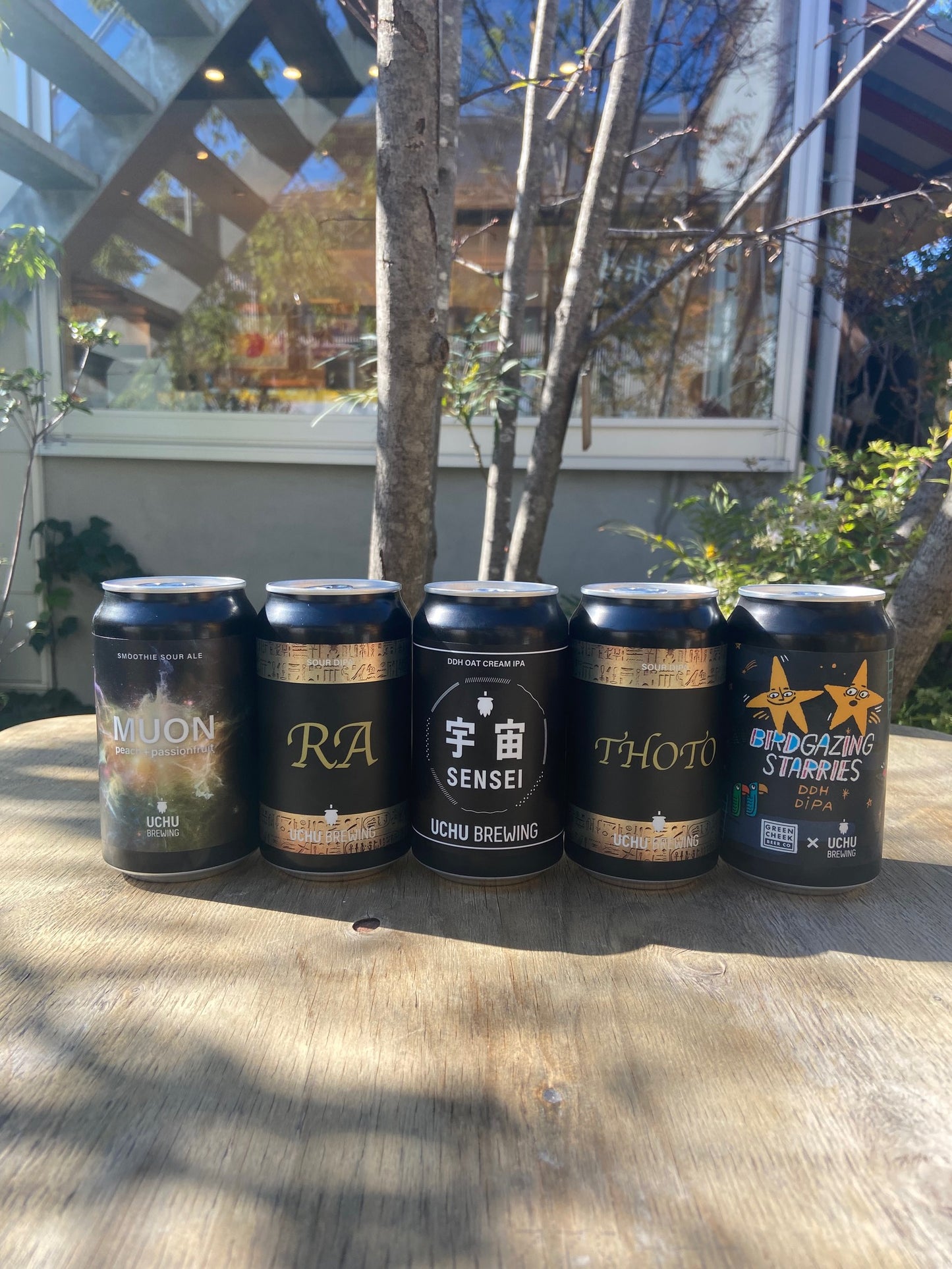 【3セット限定販売】人気の宇宙ビール5本セット