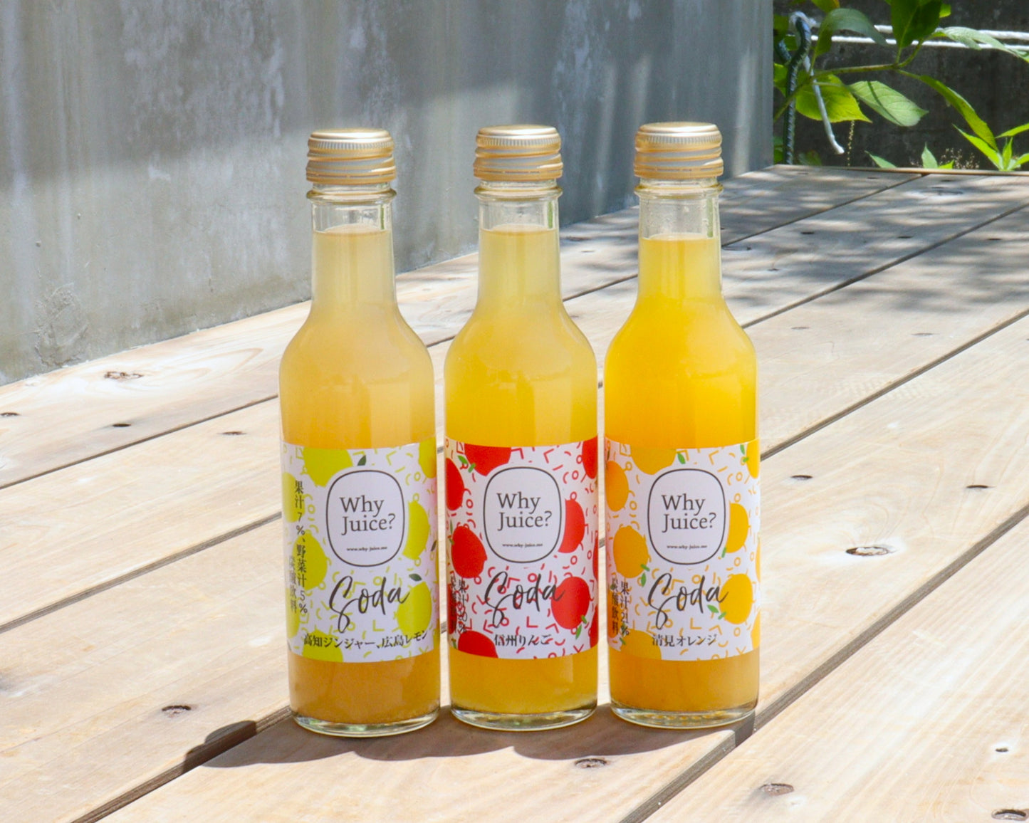 【夏季限定】Fruits SODA 3本ギフトボックス(清見オレンジ)