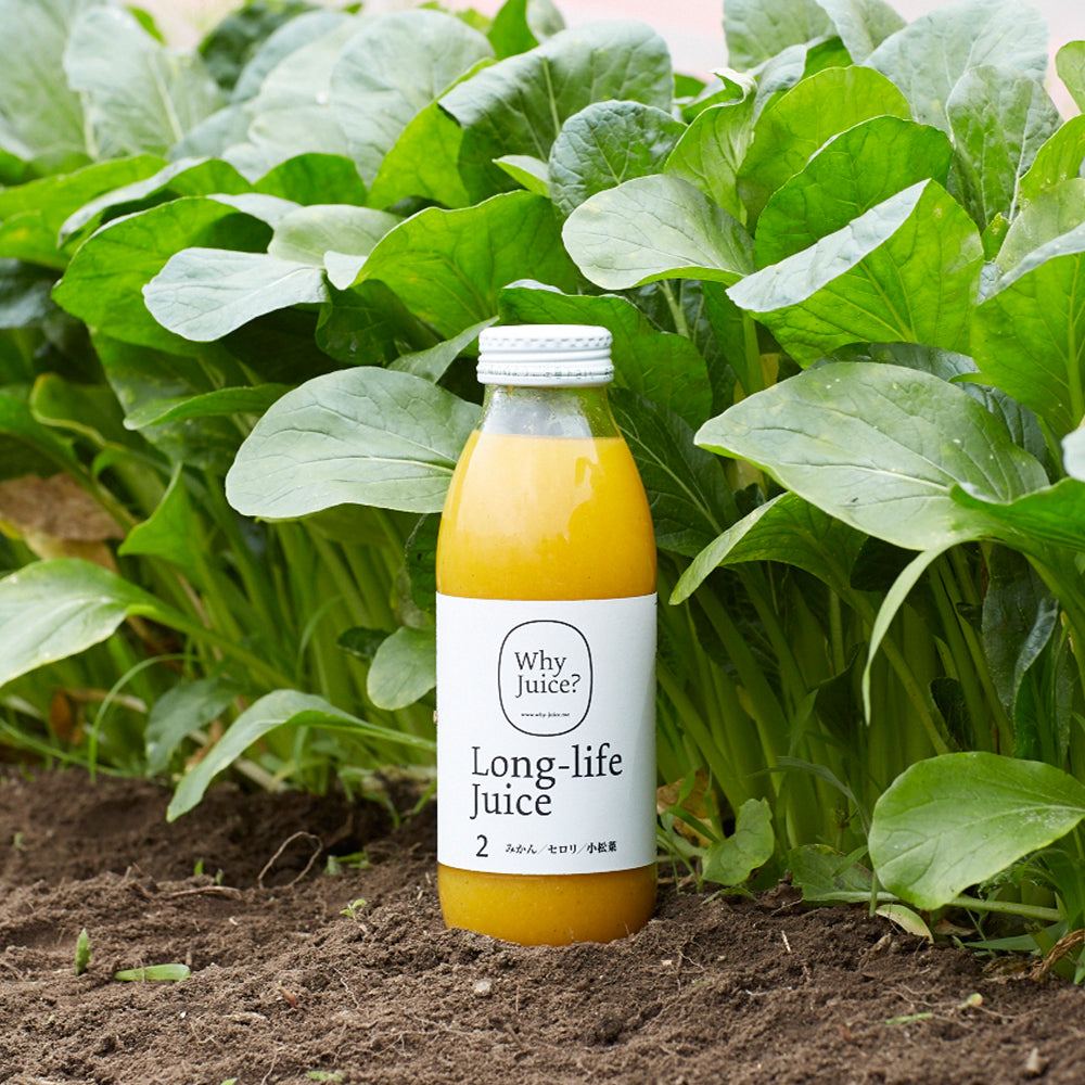 【無添加ジュース】Long-life Juice ご自宅向けお得20本セット(にんじん、みかん、トマト、ぶどう、ビーツ)