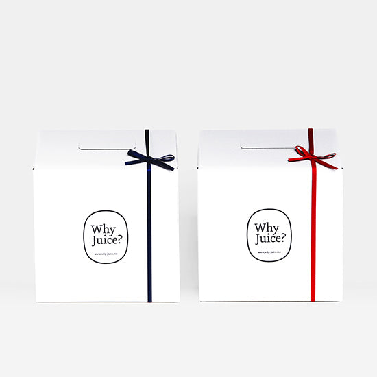 【夏季限定】Fruits SODA 6本ギフトボックス(高知ジンジャー広島レモン)