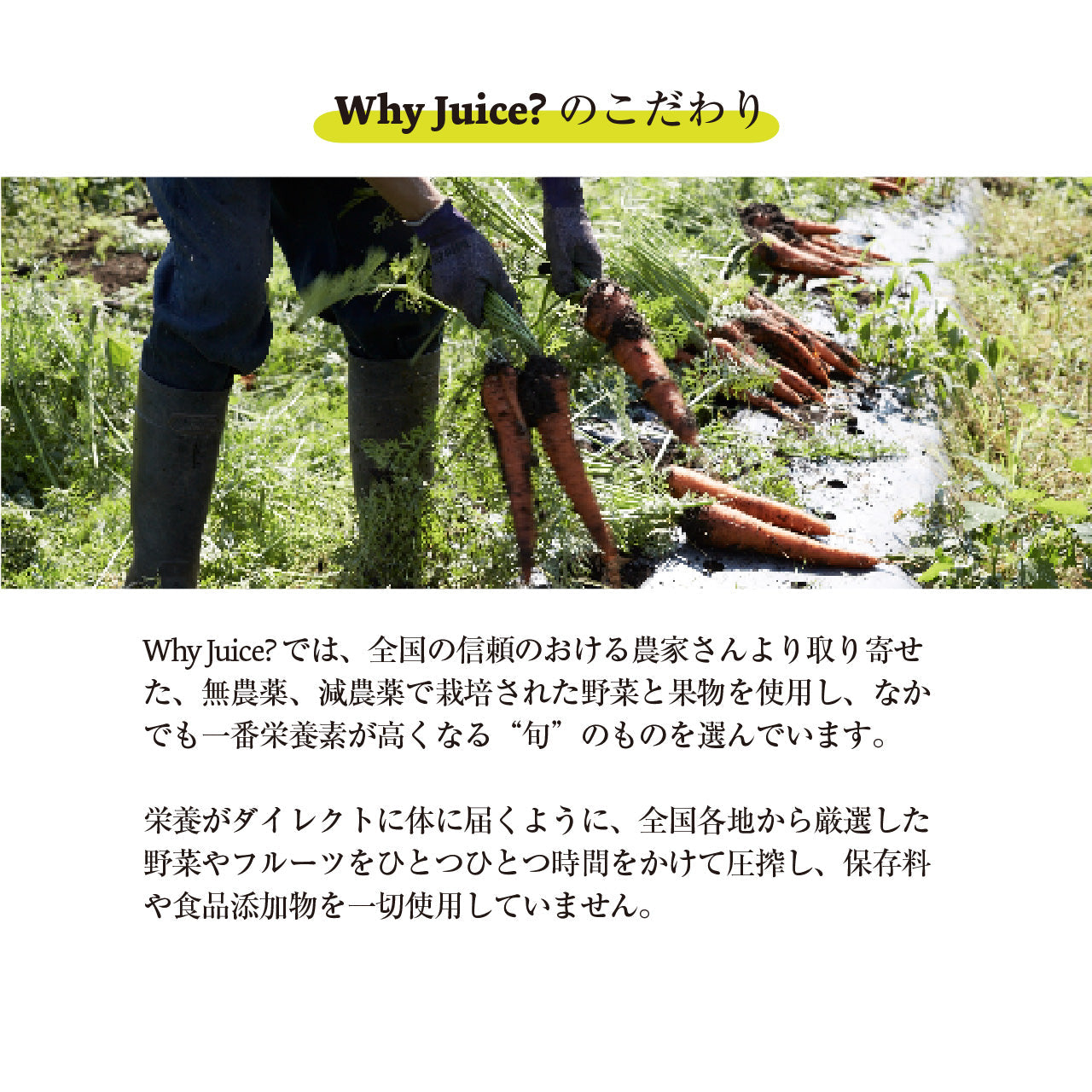 【数量限定】Long-life Juice 6本ギフトボックス (秋の果物たっぷりセット/梨、にんじん、みかん)