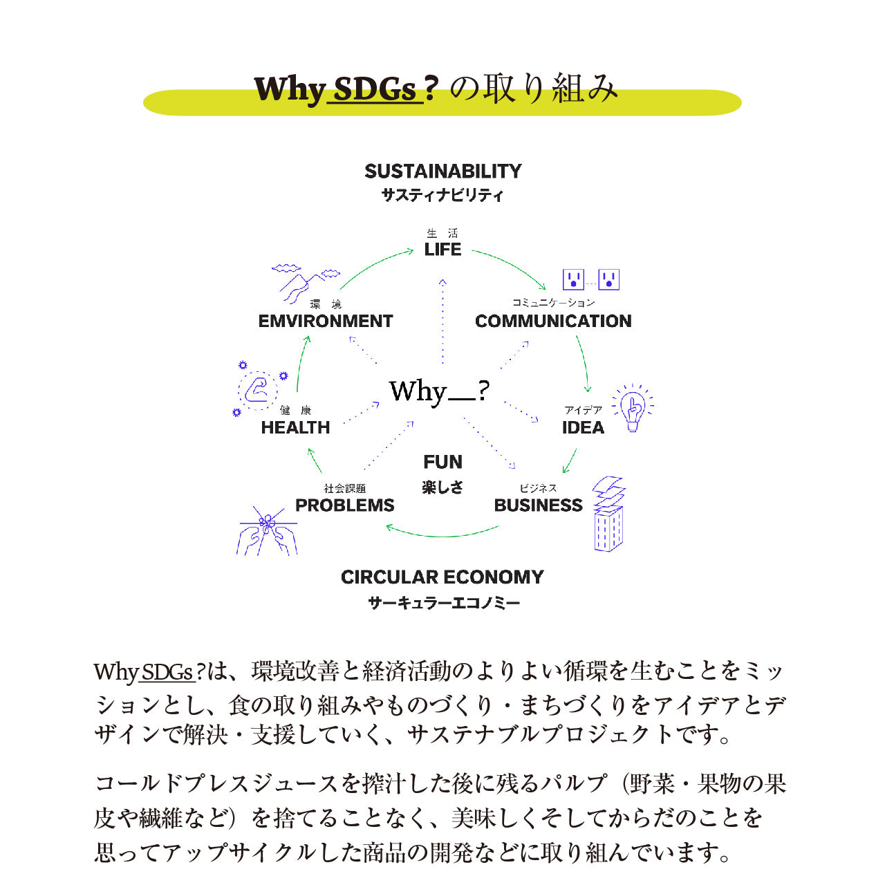 【中身の見える】セロリクッキー