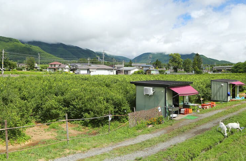 白馬そだちの発酵ブルーベリーシロップ