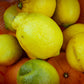 瀬戸内海「citrusfarmsたてみち屋　菅 秀和」さんの旬のレモン果実2kg