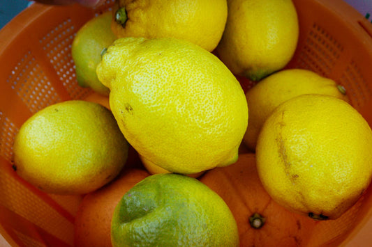 瀬戸内海「citrusfarmsたてみち屋　菅 秀和」さんの旬のレモン果実2kg