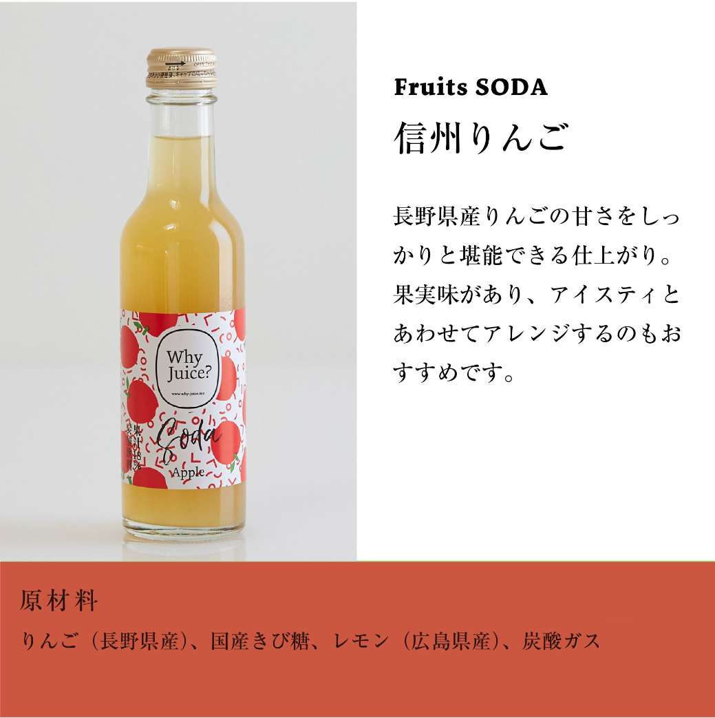 【夏季限定】Fruits SODA 信州りんご(ご自宅向けお得30本セット)