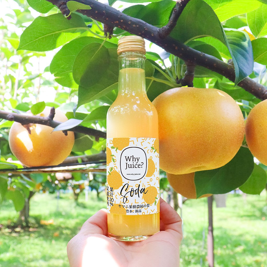 【お年賀ギフト】Fruits SODA 6本ギフトボックス(信州りんご、ヤマニ果樹農園の梨、清見オレンジ、高知ジンジャーレモン）