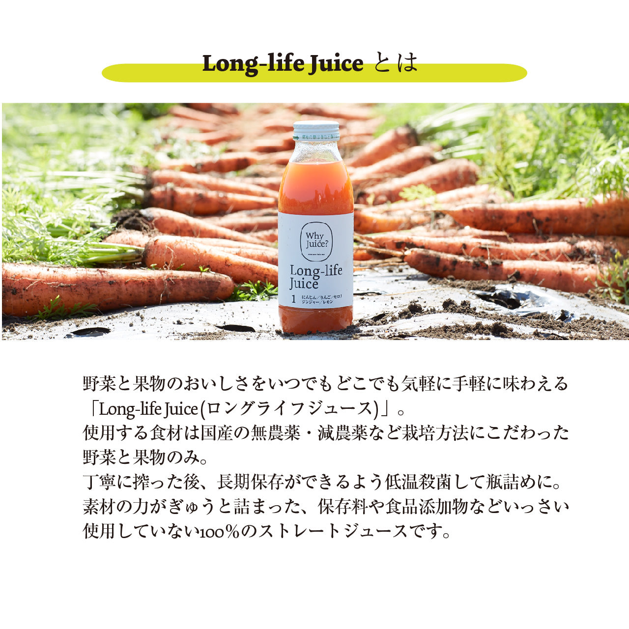 【無添加ジュース】Long-life Juice 12本ギフトボックス(定番3種類セット)