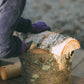 【イベント終了】【Work Shop】生木の木工グリーンウッドワーク　-小枝のフォーク/いろいろ樹皮の鍋敷きづくり-